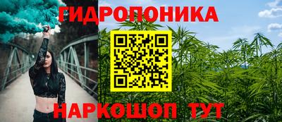 гидра Пушкино