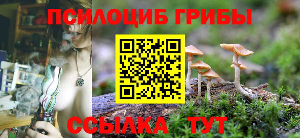 цены наркотик  Псилоцибиновые грибы Cubensis  Вход с VPN  Псилоцибиновые грибы прущие грибы  Балашиха 